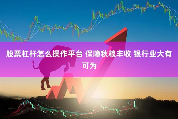股票杠桿怎么操作平臺(tái) 保障秋糧豐收 銀行業(yè)大有可為