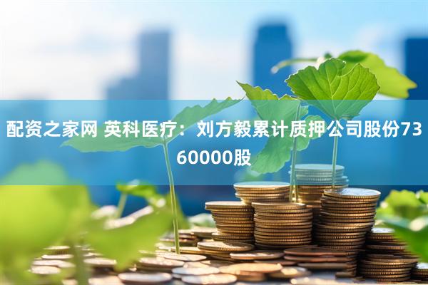 配資之家網(wǎng) 英科醫(yī)療：劉方毅累計(jì)質(zhì)押公司股份7360000股